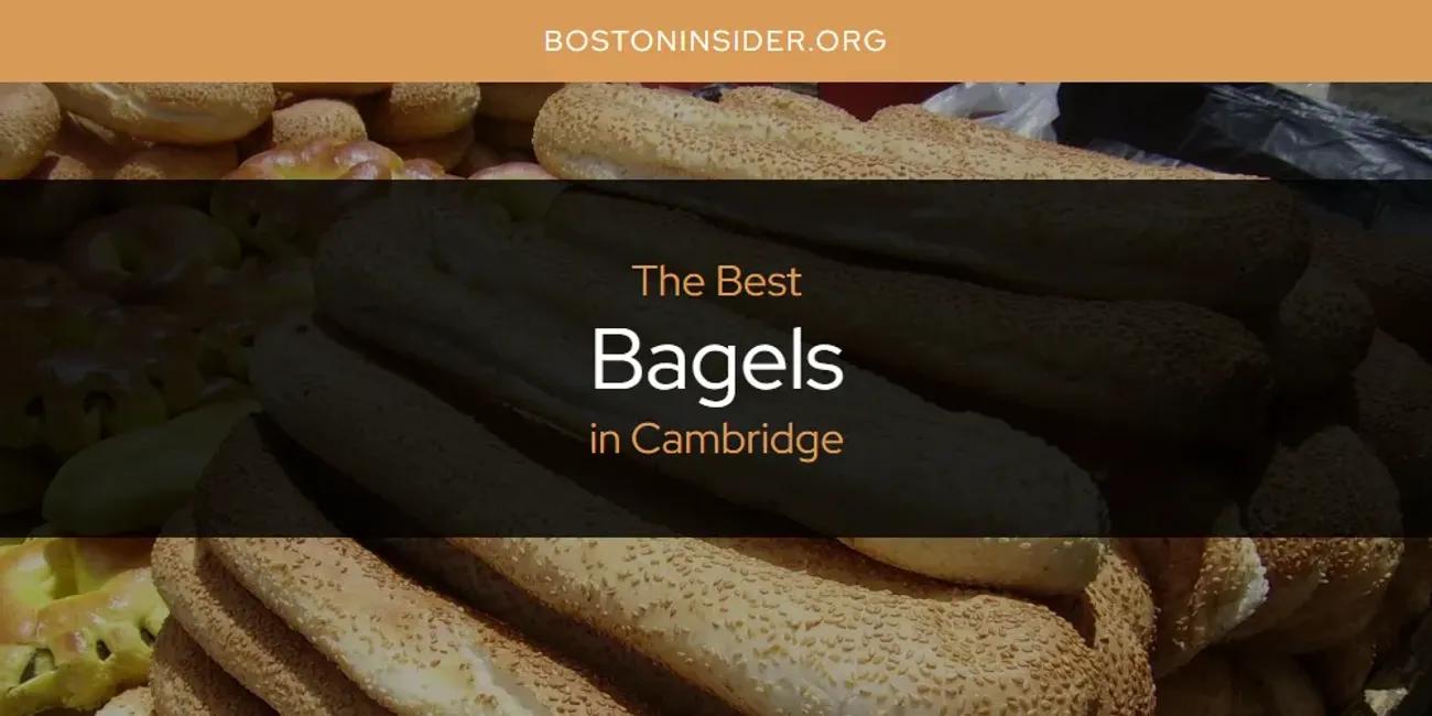 The Absolute Best Bagels in Cambridge  [Updated 2025]