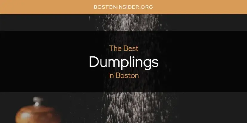 The Absolute Best Dumplings in Boston  [Updated 2024]