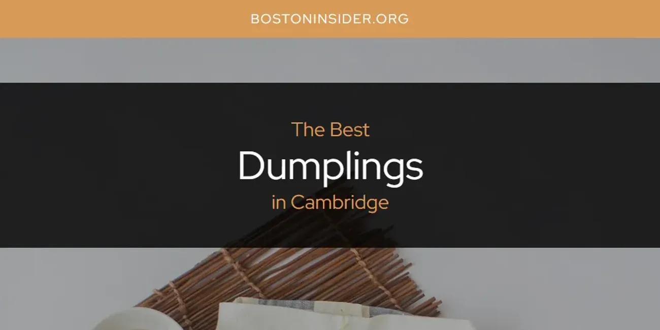 The Absolute Best Dumplings in Cambridge  [Updated 2025]