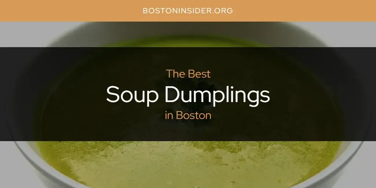 Boston's Best Soup Dumplings [Updated 2024]