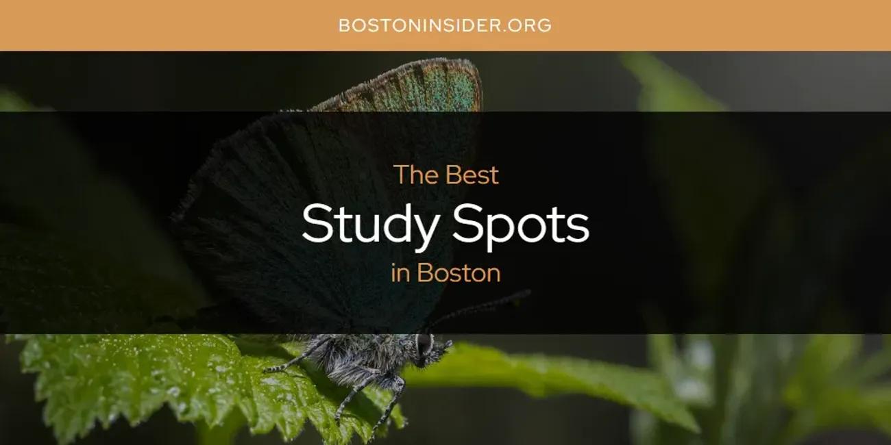 The Absolute Best Study Spots in Boston  [Updated 2024]