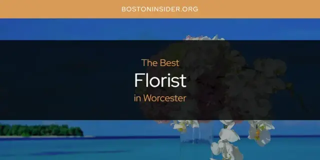 The Absolute Best Florist in Worcester  [Updated 2024]