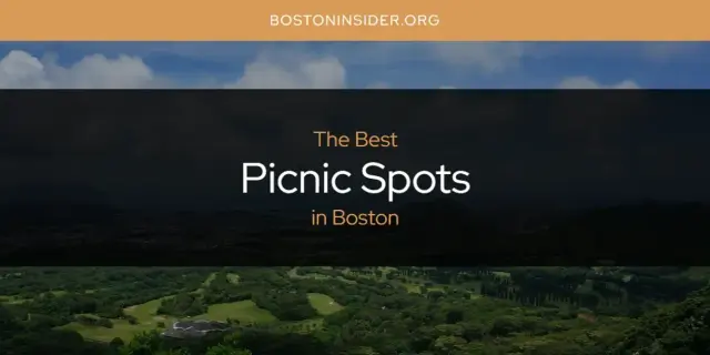 Boston's Best Picnic Spots [Updated 2024]