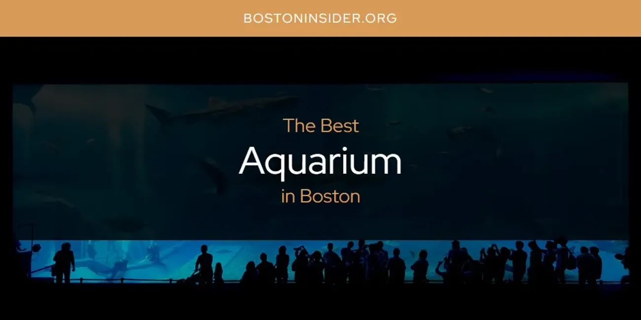 Best Aquarium in Boston: Our Expert Picks for 2025