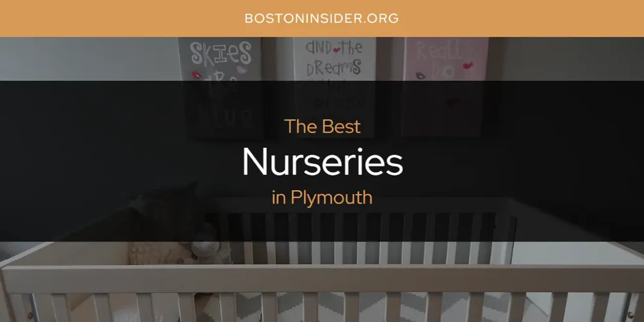 Plymouth's Best Nurseries [Updated 2025]