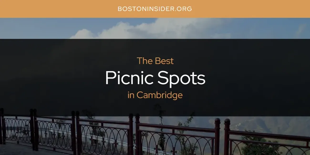 The Absolute Best Picnic Spots in Cambridge  [Updated 2025]