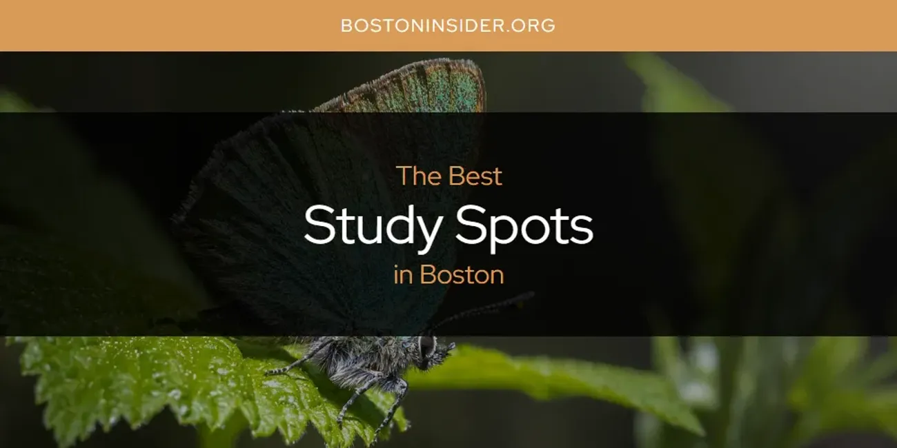 The Best Study Spots in Boston [Updated 2025]